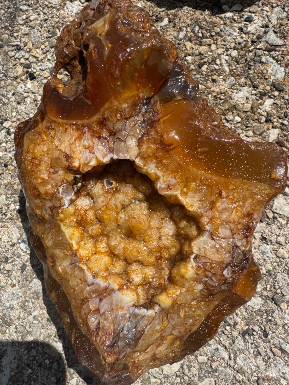 Natural Amber specimen 35 million years old.
